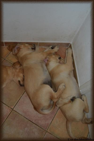 3 mois (1)