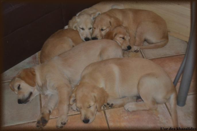 3 mois (11)