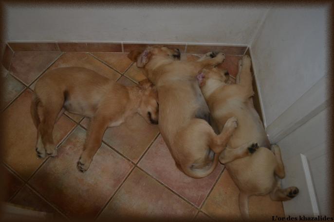 3 mois (2)