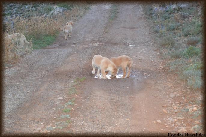 3 mois (4)