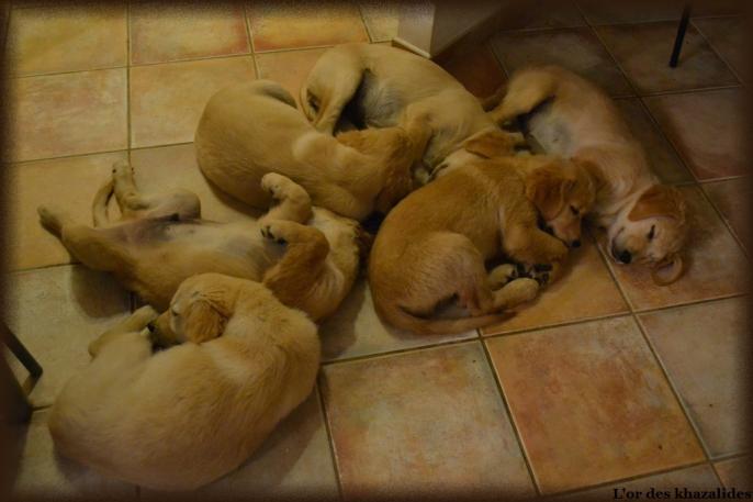 3 mois (5)
