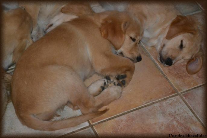 3 mois (7)