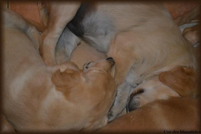 3 mois (8)