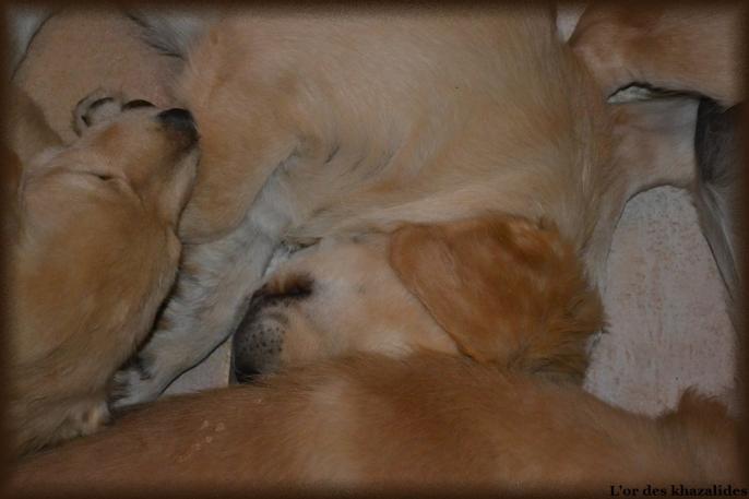 3 mois (9)