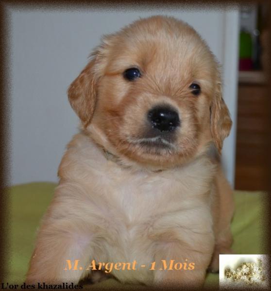 Argent 1mois