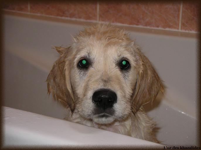 Bain Avril 2009