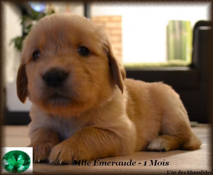 Emeraude 1mois