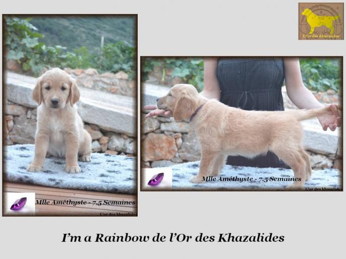 I'm a rainbow