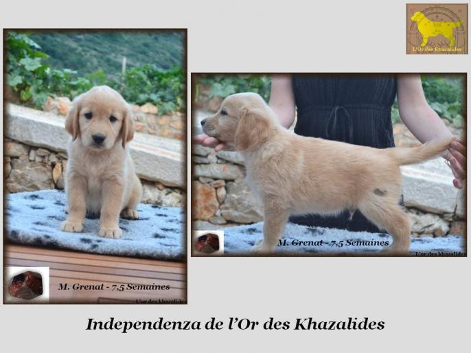 Independenza
