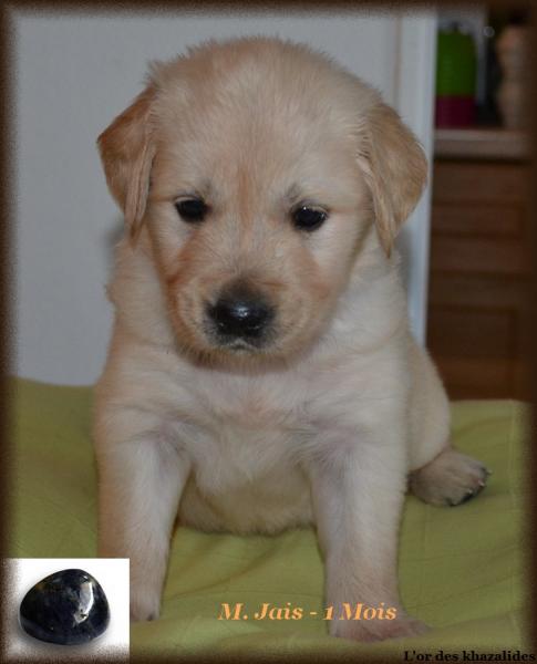 Jais 1mois