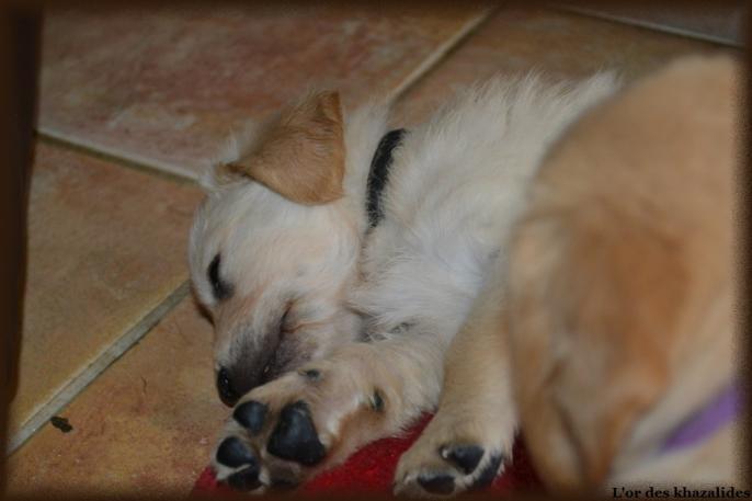 Jais jour42 (4)