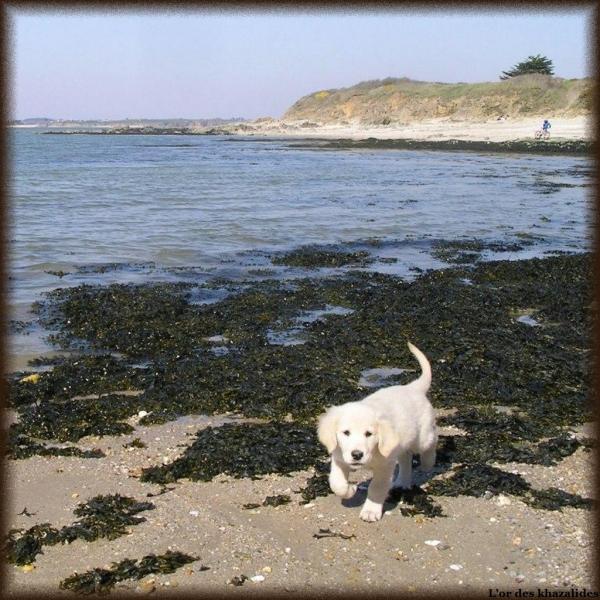 Plage Mars 2009