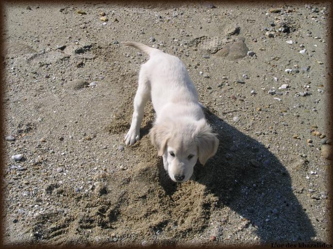 Plage Mars2009