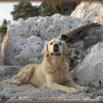 Ballades
