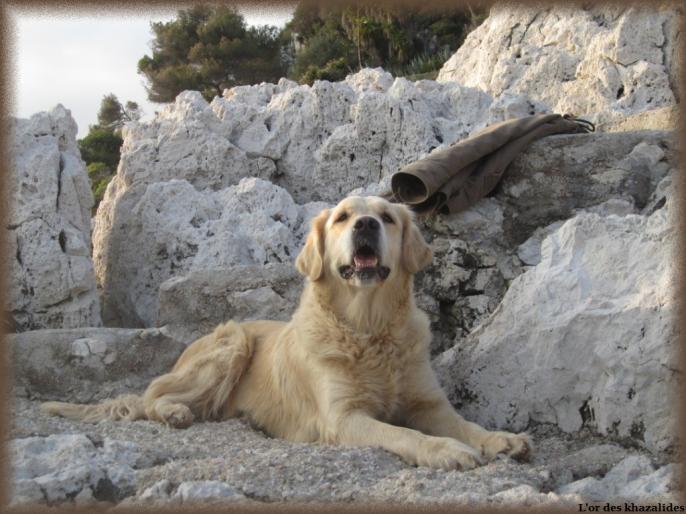Roquebrune Mars 2013
