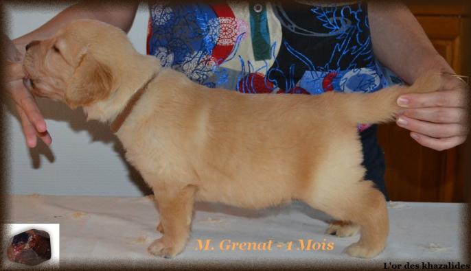 Statique 1mois