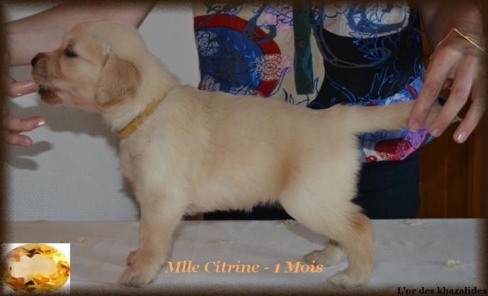 Statique 1mois