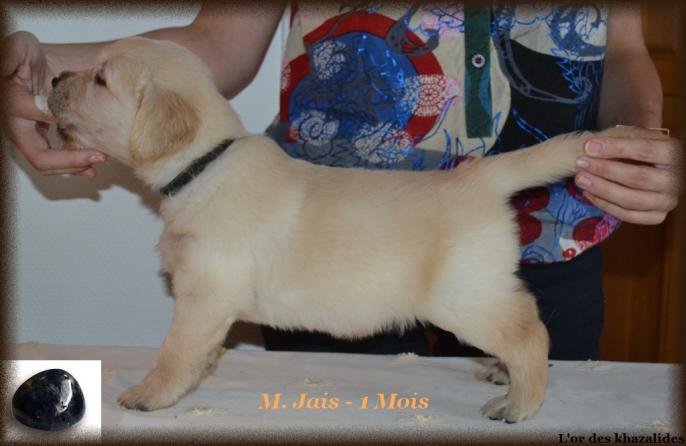 Statique 1mois