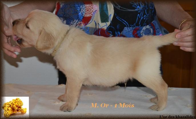 Statique 1mois