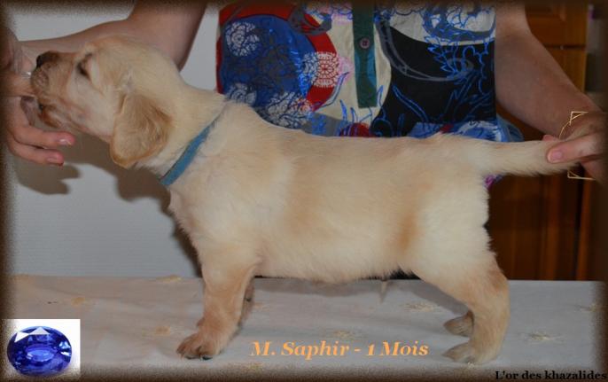 Statique 1mois