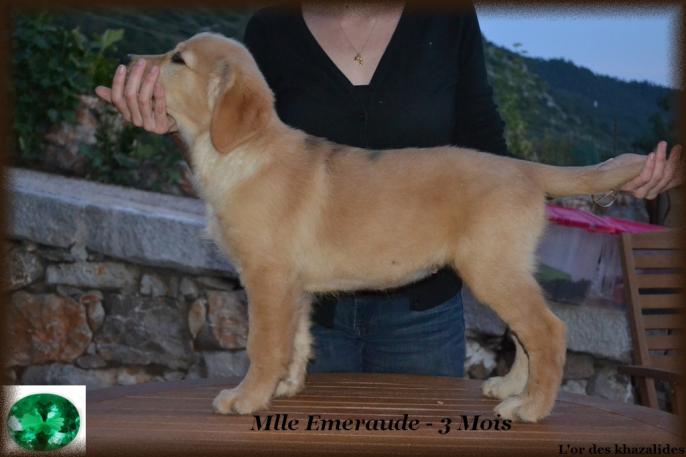 Statique 3 mois