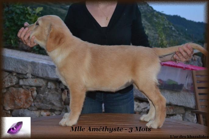 Statique 3 mois
