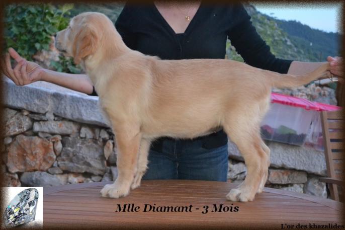 Statique 3 mois