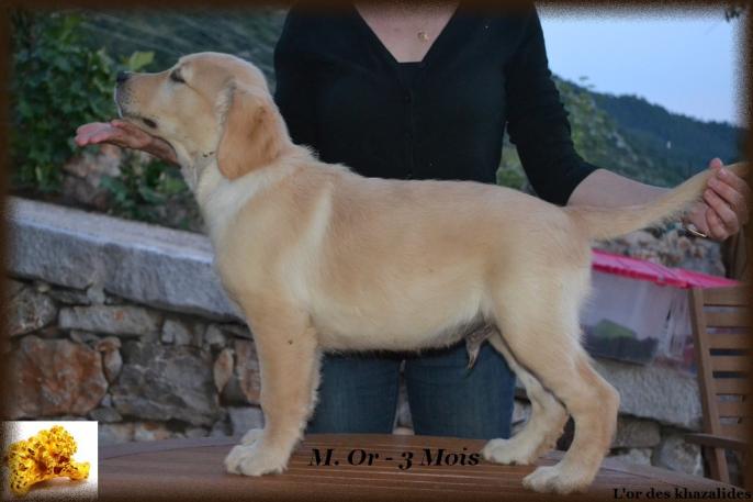 Statique 3 mois