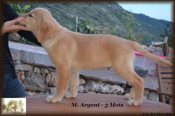 Statique 3 mois