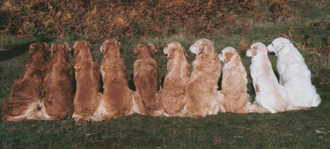 couleurs.jpg
