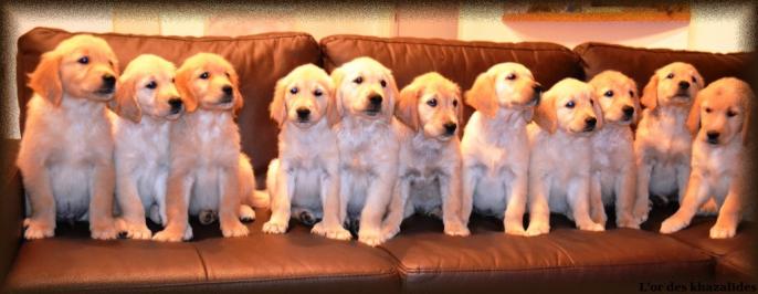 photo-groupe.jpg