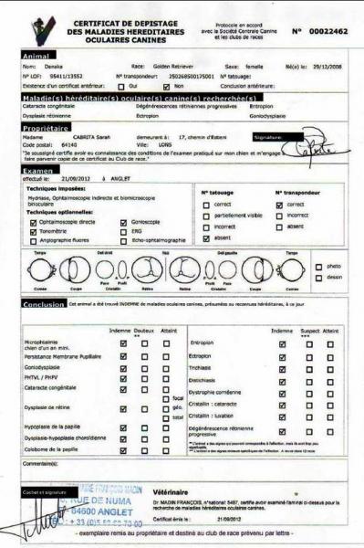 tares-occulaires-danaka.jpg